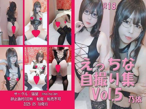 えっちな自撮り集Vol.5