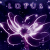 LOTUS -ロータス-(DL.Getchu.com)