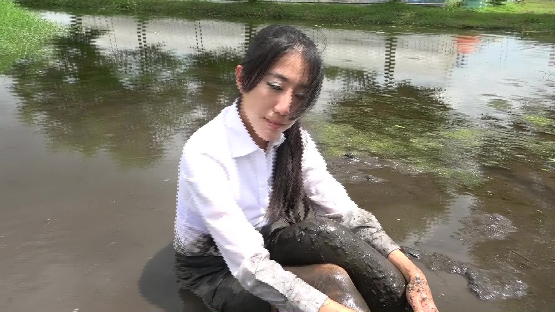 サンプル画像